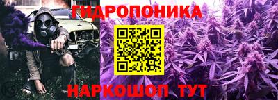 бошки Кинель