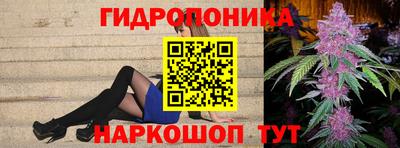 a pvp Кингисепп