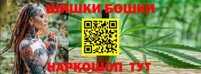 spice Камышлов